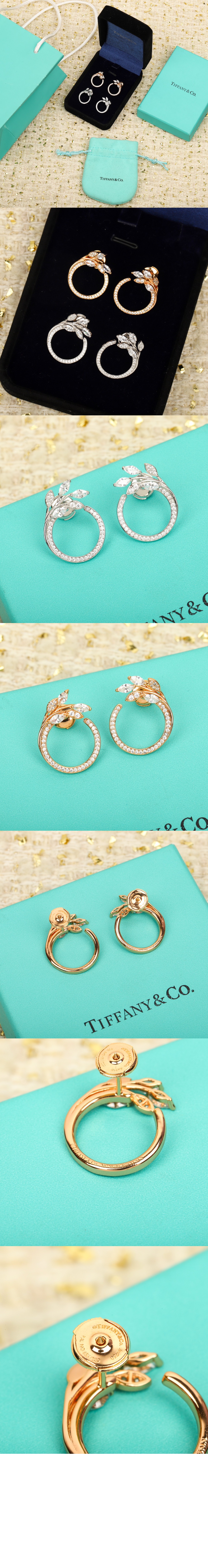 큐빅 넝쿨 귀걸이 > Etc - 기타제품