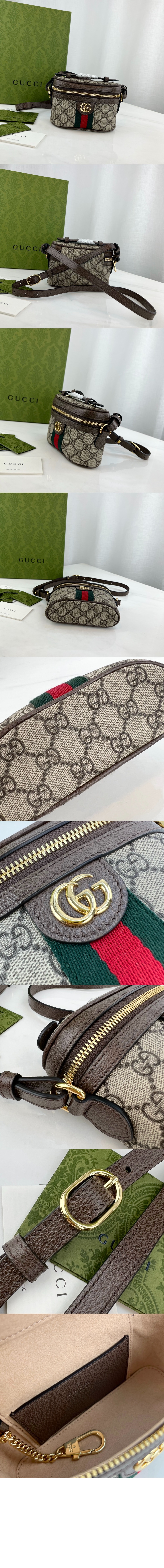 오피디아 탑 핸들 미니백 699532 > Ophidia - 오피디아