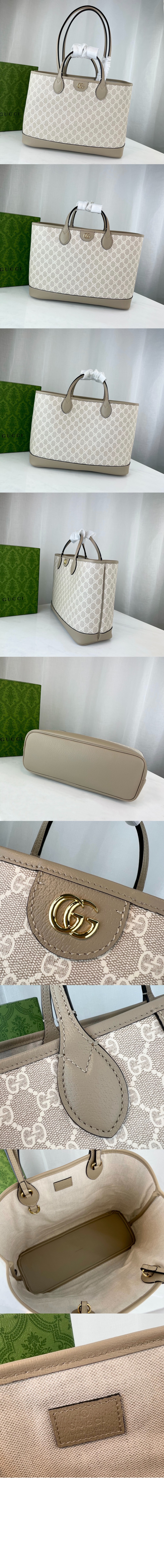 오피디아 미디엄 토트백 739730 > Ophidia - 오피디아