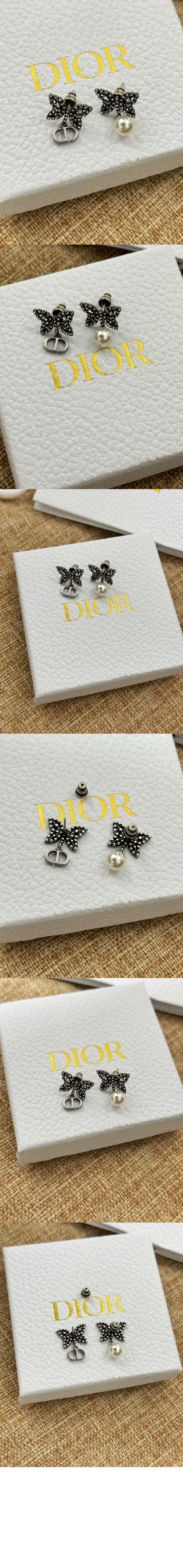 Papillon de Nuit 귀걸이 E2900 > 디올