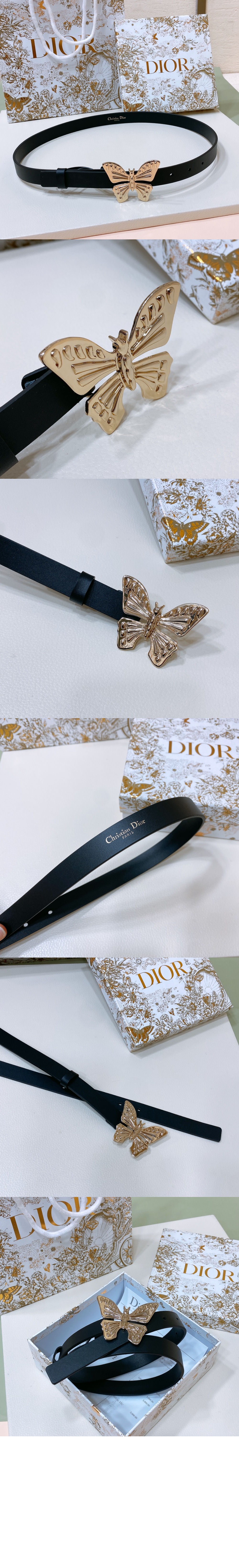 디올 메타모르포스 벨트 B0465 > 디올