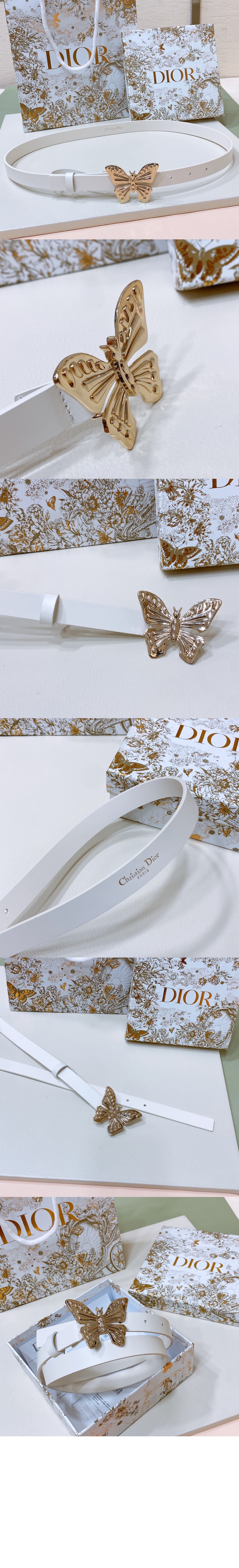 디올 메타모르포스 벨트 B0465 > 디올