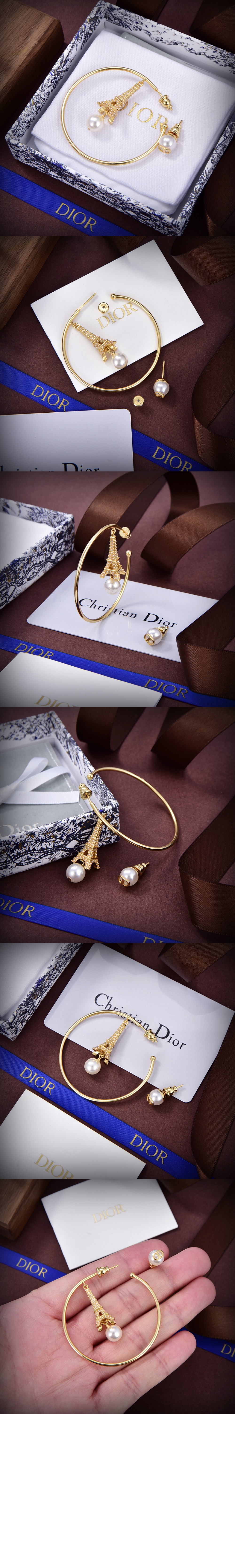 Plan de Paris 귀걸이 E2844 > 디올