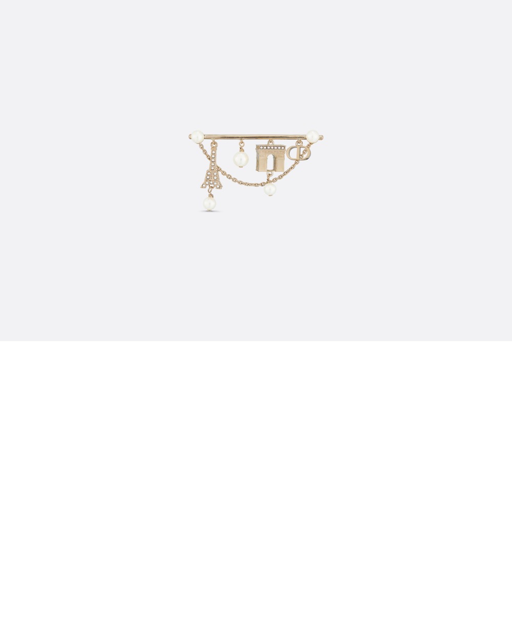 Plan de Paris 브로치 V1134 > 디올