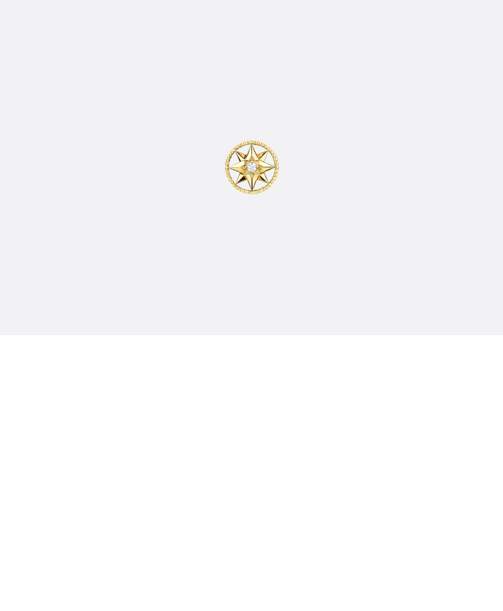 Rose des Vents 스몰 귀걸이 JRDV9 > 디올