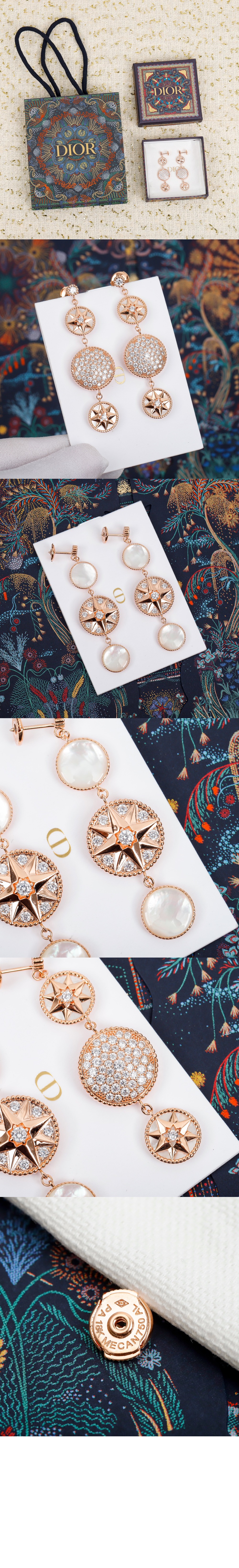 Rose des Vents 귀걸이 JRDV9 > 디올