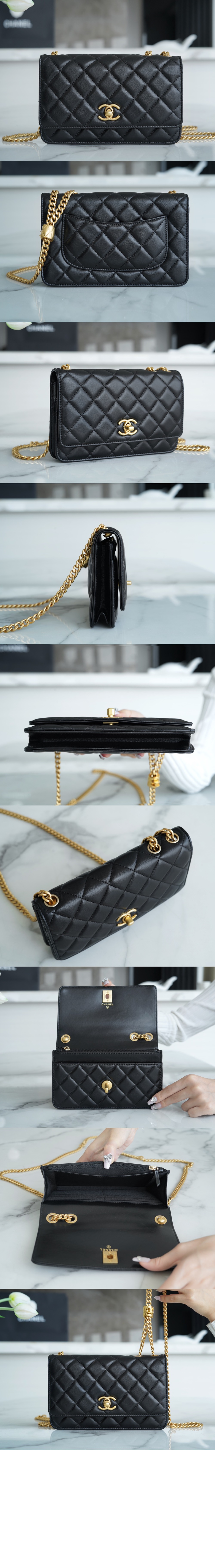 체인 WOC AP3043 > Woc - 월렛온더체인