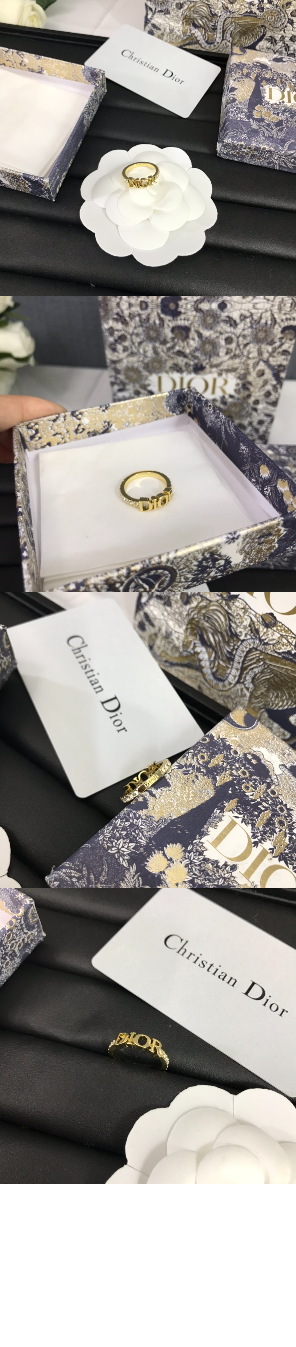 Dio(r)evolution 반지 R1009 > 디올