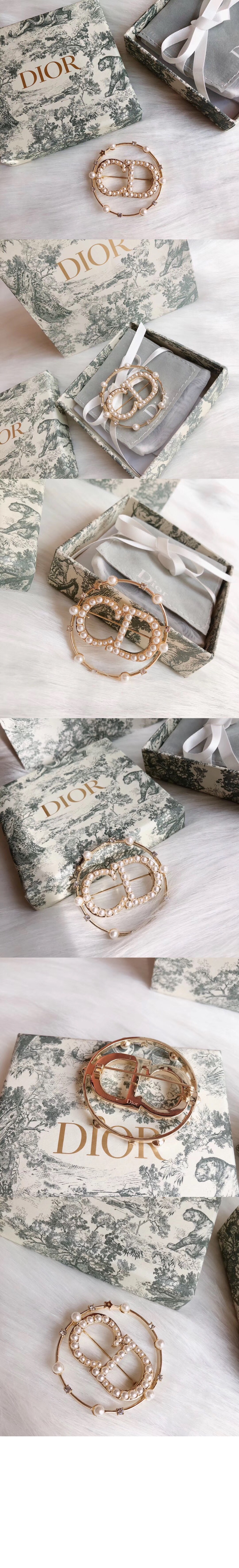 Clair D Lune 브로치 V0412 > 디올