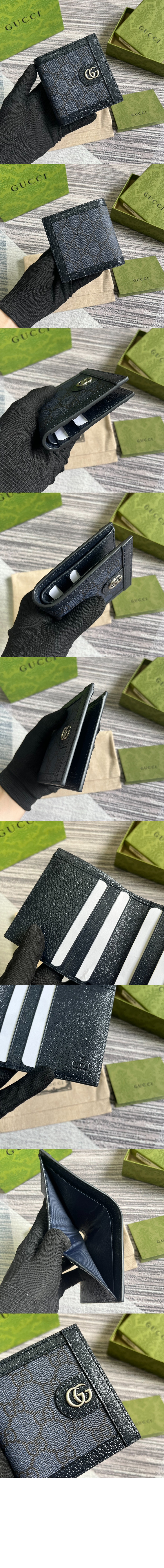 오피디아 반지갑 732016 > Ophidia - 오피디아