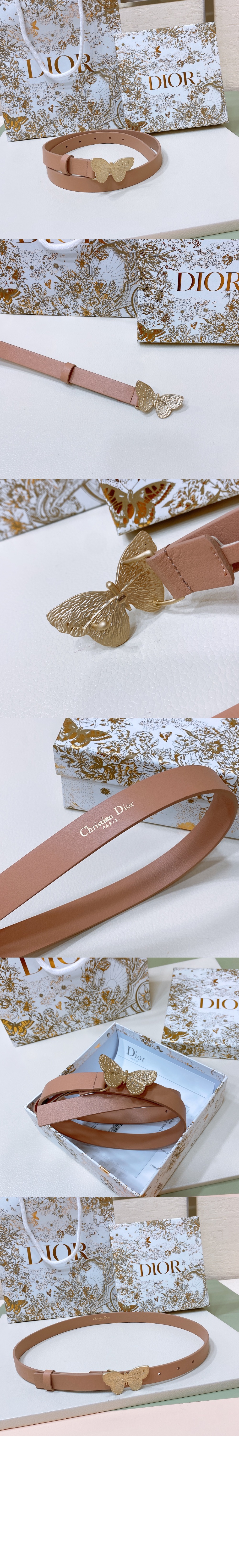 디올 메타모르포스 벨트 B0465 > 디올