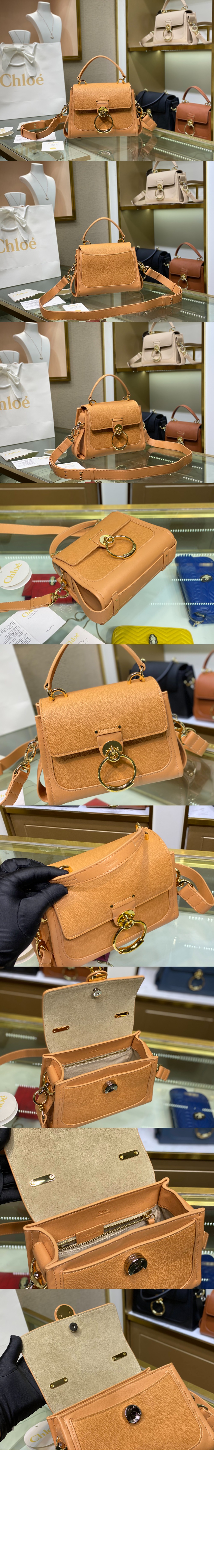 페이 데이백 스몰 G33001 > Tess - 테스백