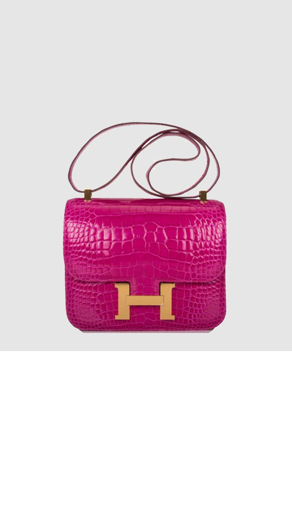 콘스탄스 크로커 > Constance - 콘스탄스