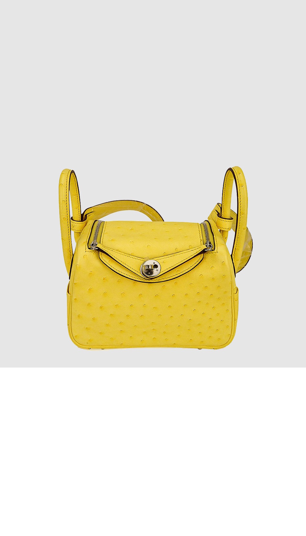 린디 미니 오스트리치 > Lindy - 린디