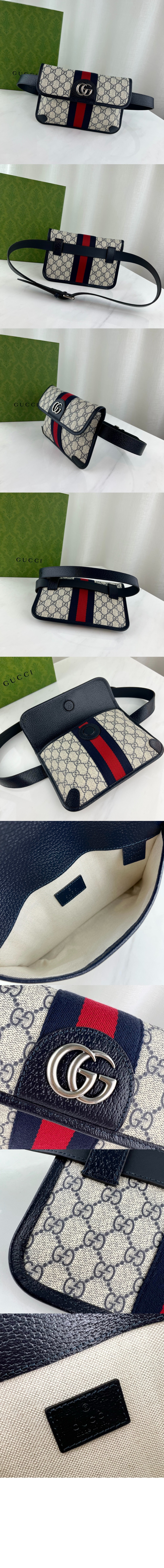 오피디아 GG 벨트백 674081 > Ophidia - 오피디아