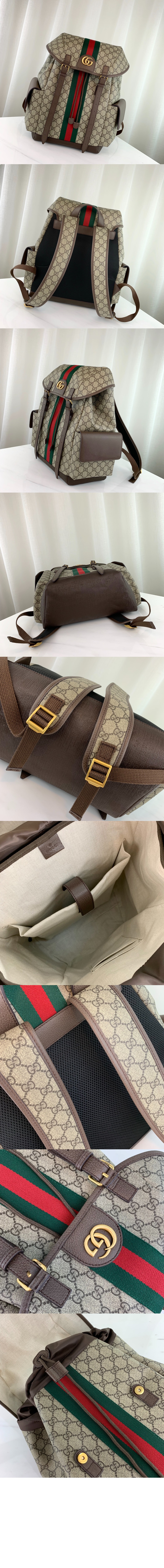 오피디아 GG 미듐 백팩 598140 > Ophidia - 오피디아