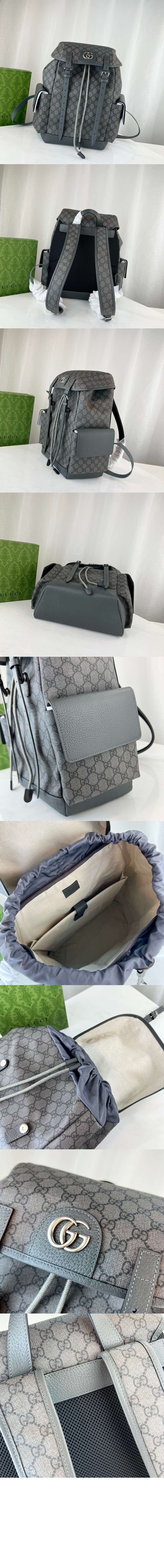 오피디아 GG 미듐 백팩 598140 > Ophidia - 오피디아