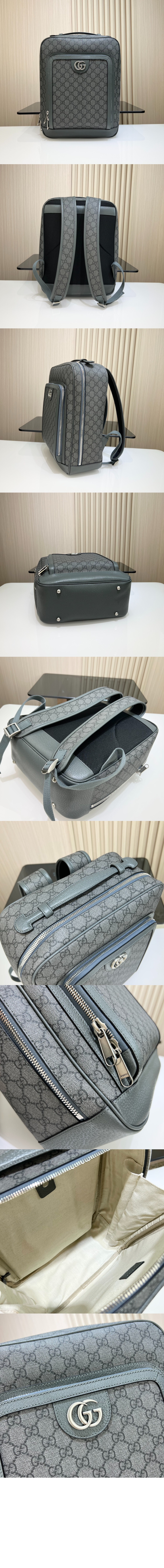 오피디아 GG 미듐 백팩 745718 > Ophidia - 오피디아