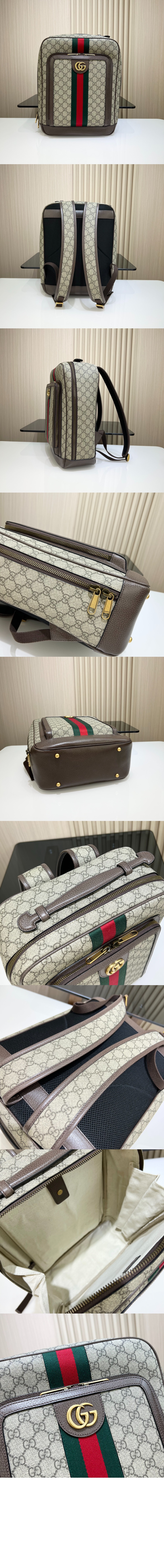 오피디아 GG 미듐 백팩 745718 > Ophidia - 오피디아