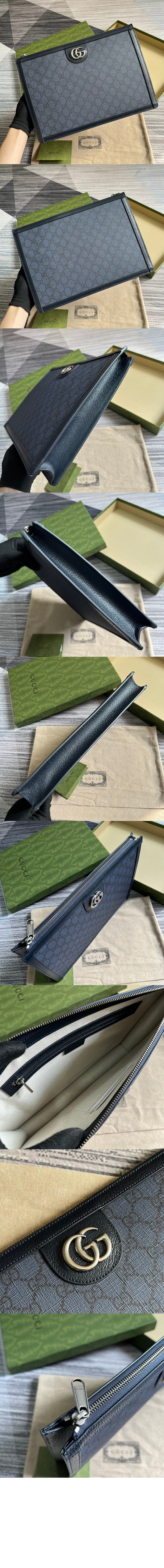 오피디아 포트폴리오 케이스 674078 > Ophidia - 오피디아