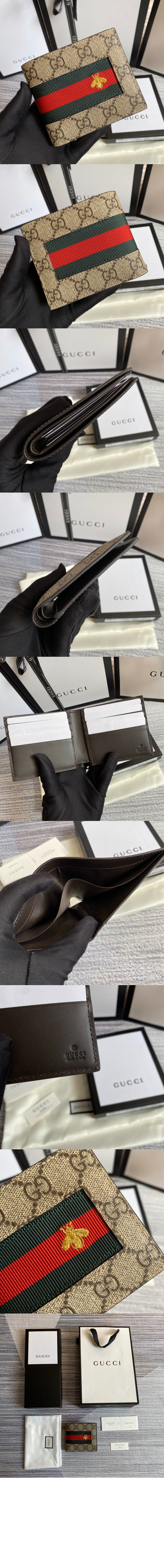 GG 수프림 웹 반지갑 ‎408827 > Ophidia - 오피디아