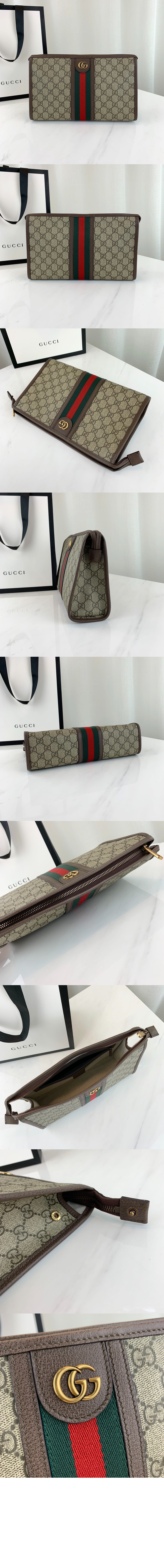 오피디아 GG 파우치 598234 > Ophidia - 오피디아