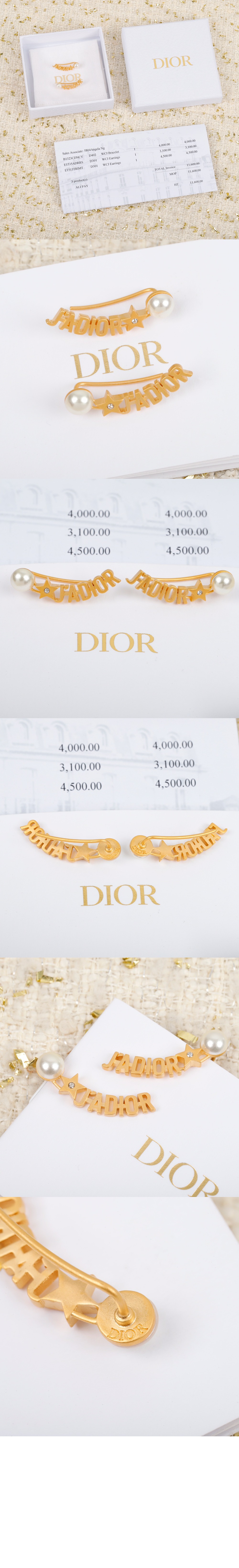 자디올 귀걸이 E1535 > 디올