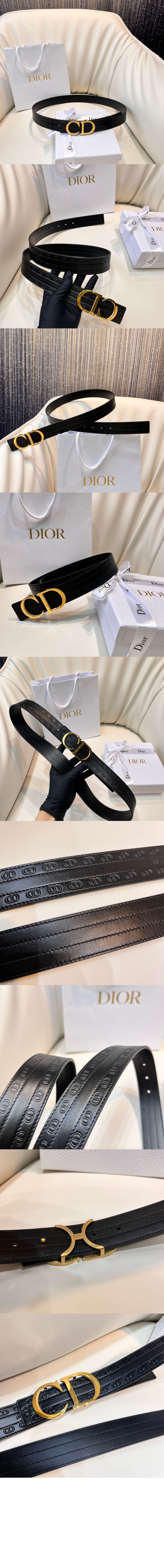 몽테인 스판 벨트 4371R > 디올