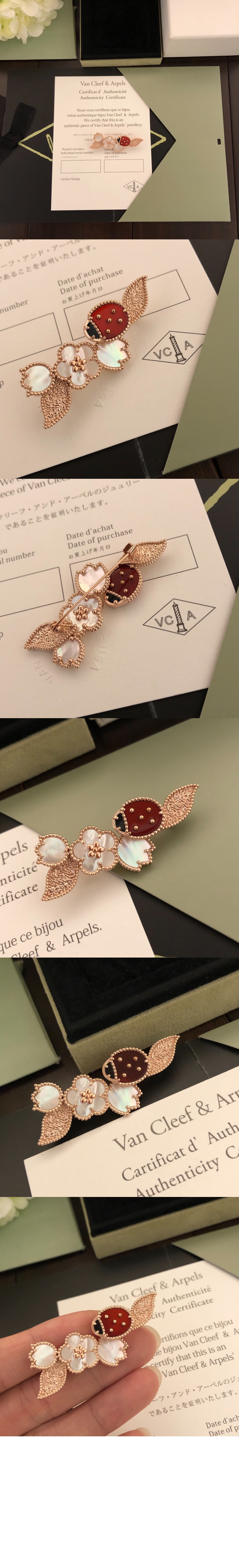 럭키 스프링 브로치 7RS00 > Etc - 기타제품