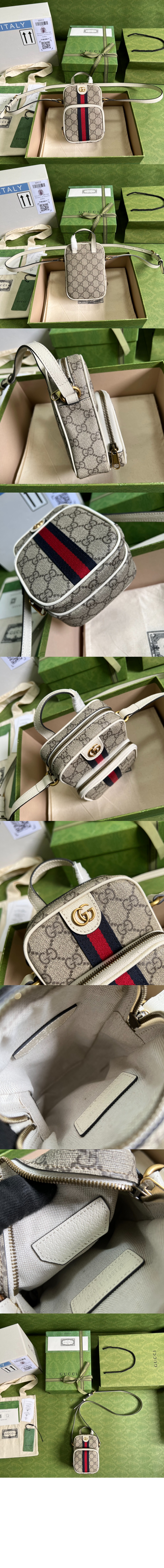 오피디아 GG 미니백 671682 > Ophidia - 오피디아