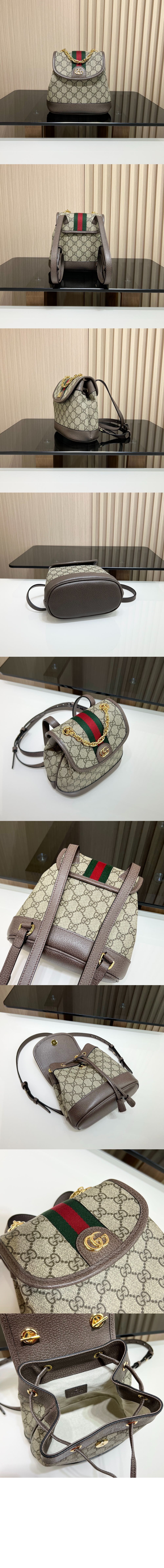 미니 백팩 795221 > Ophidia - 오피디아