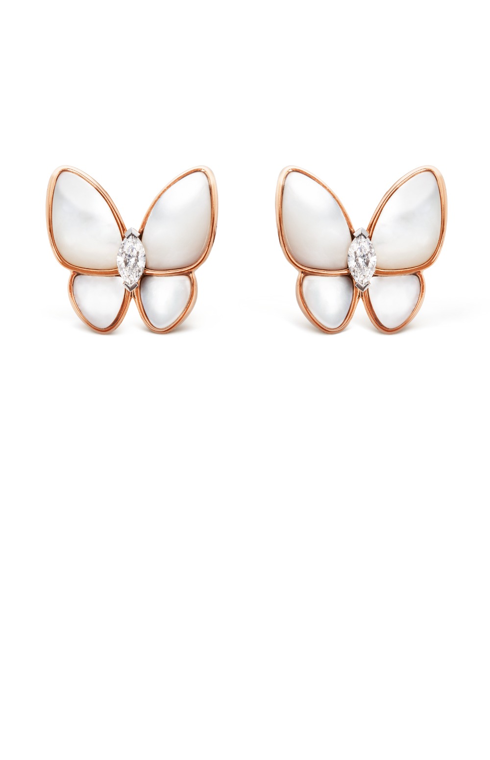 투 버터플라이 귀걸이 8FN00 > Etc - 기타제품