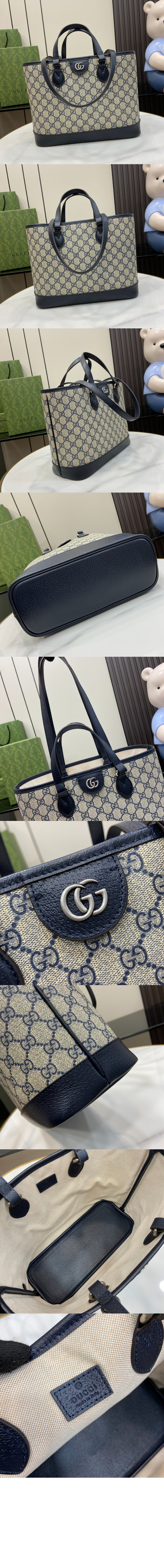 GG 미니 토트백 765043 > Ophidia - 오피디아