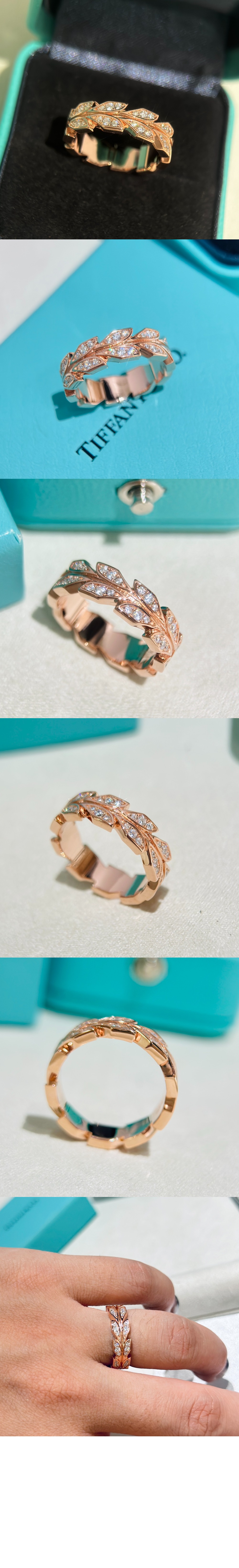 빅토리아 바인 밴드 반지 > Etc - 기타제품