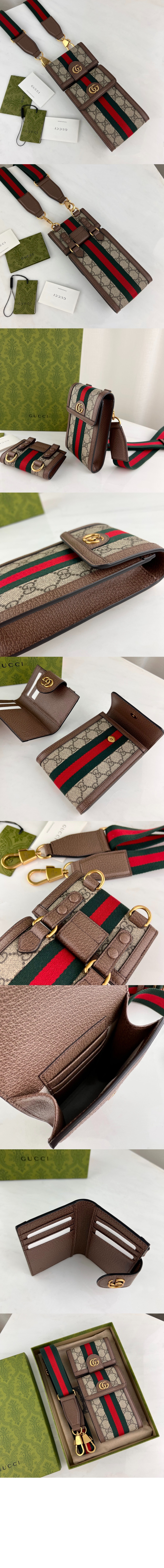 오피디아 GG 미니백 699173 > Ophidia - 오피디아