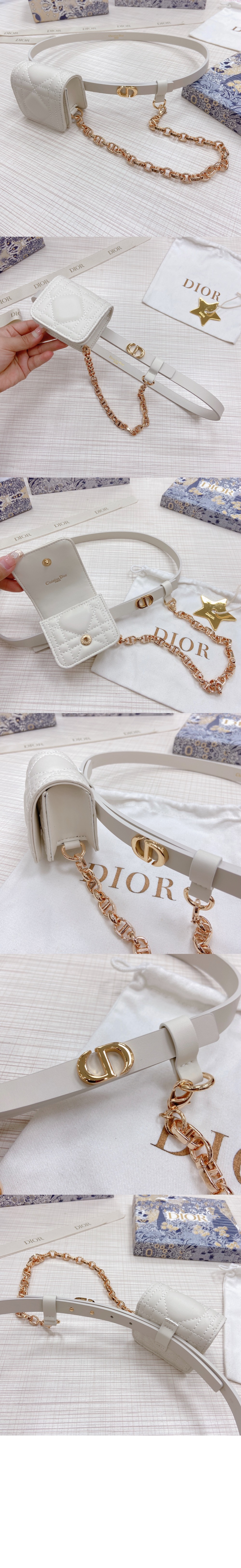 탈착식 소형 가방 매끄러운 소가죽 벨트 B0306 > 디올