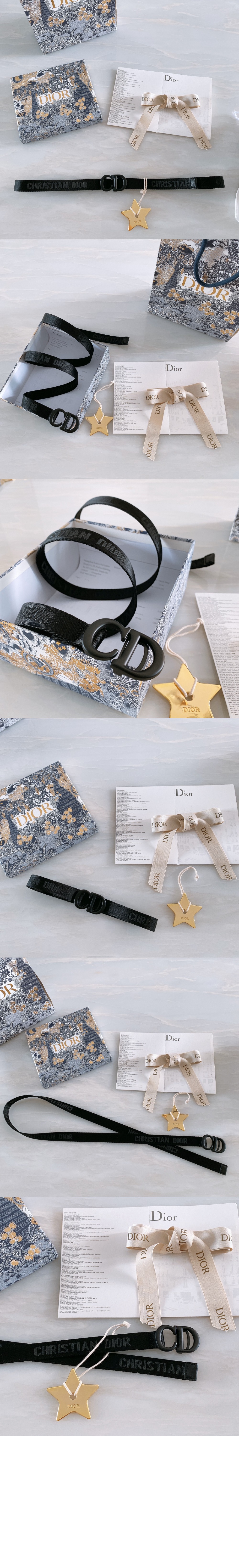 Saddle 벨트 B0040 > 디올