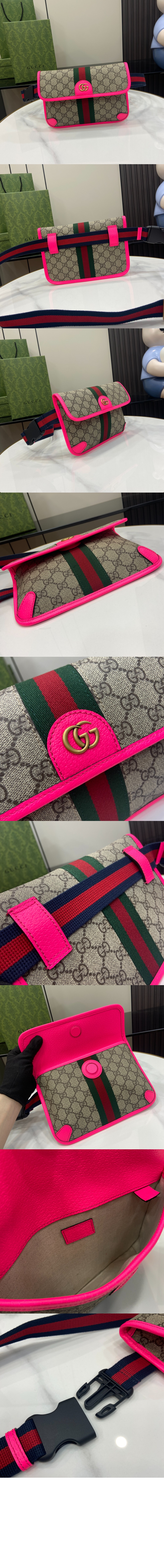 오피디아 GG 스몰 벨트백 752597 > Ophidia - 오피디아