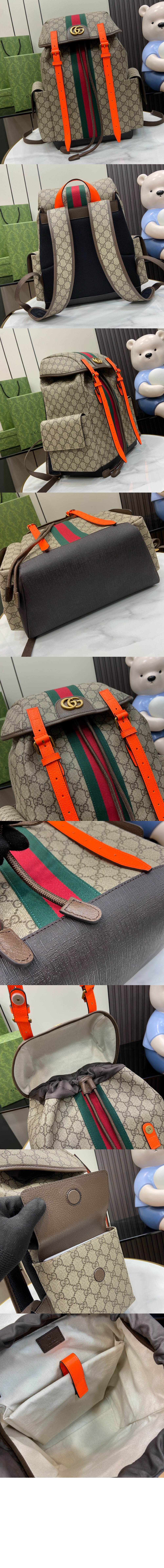 오피디아 GG 미듐 백팩 598140 > Ophidia - 오피디아