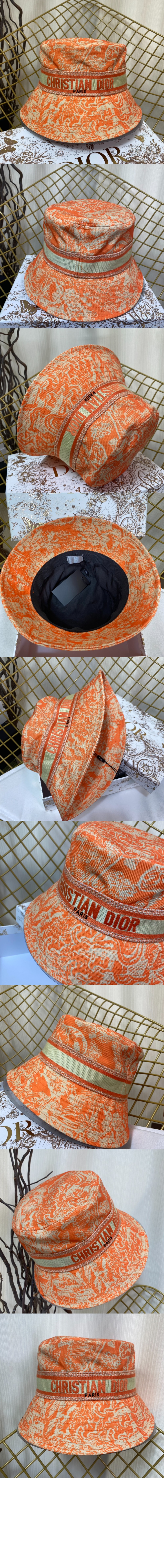 벙거지 2UT4S > 디올