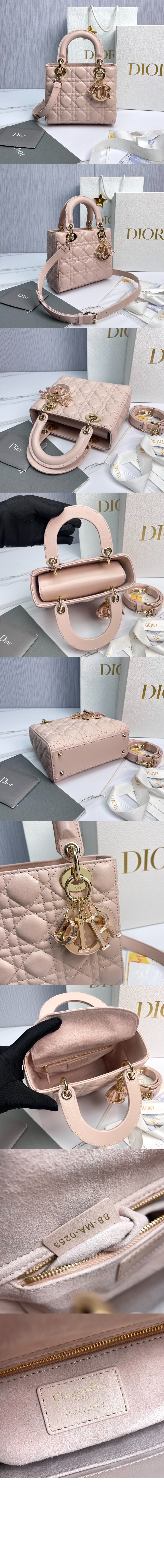 레이디백 램스킨 스몰 M0531 > Lady - 레이디