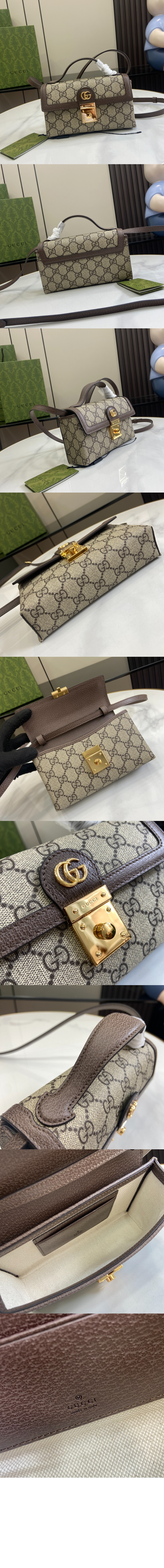 오피디아 미니백 772314 > Ophidia - 오피디아