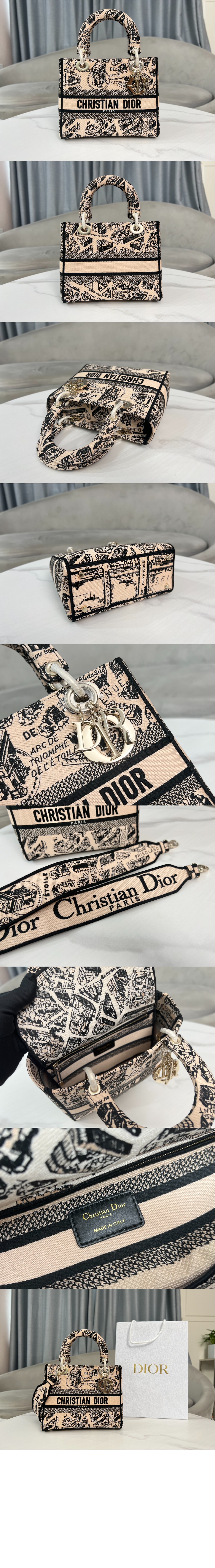 레이디백 디라이트 미듐 M0565 > Lady - 레이디