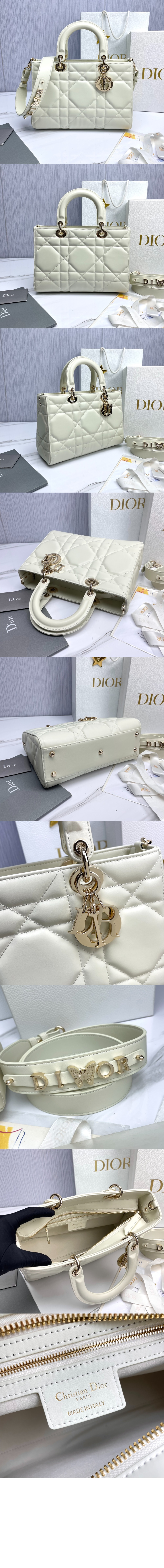 디자이어 레이디백 ABC M1151 > Lady - 레이디