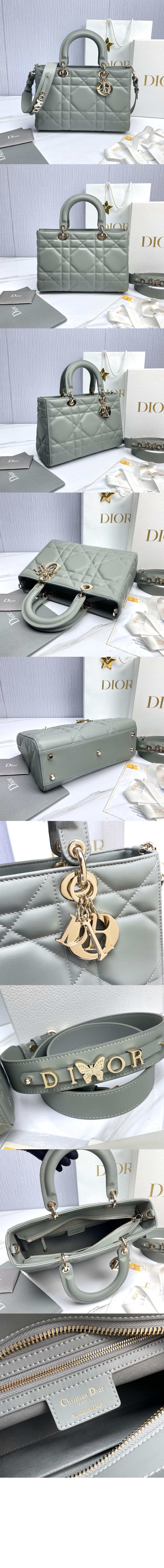 디자이어 레이디백 ABC M1151 > Lady - 레이디