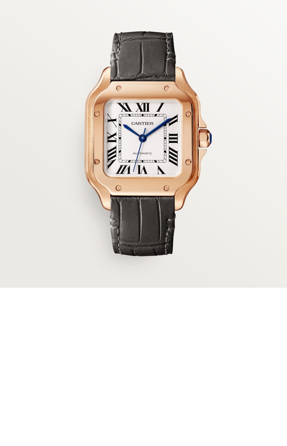 산토스 드 까르띠에 워치 35 WGSA0028 > Santos - 산토스