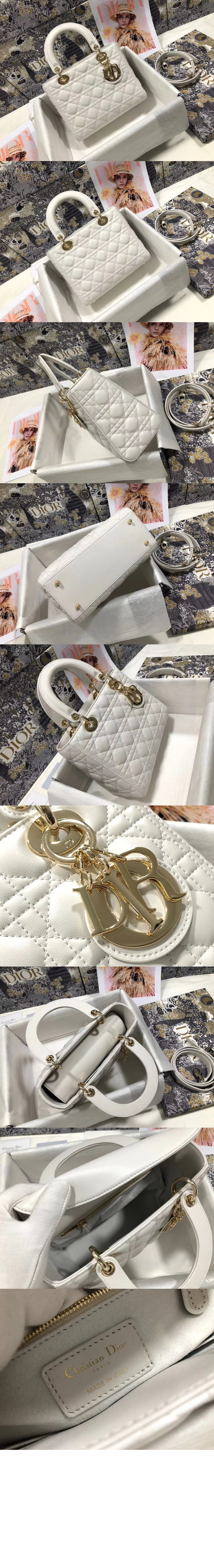 레이디백 디라이트 미듐 M0565 > Lady - 레이디