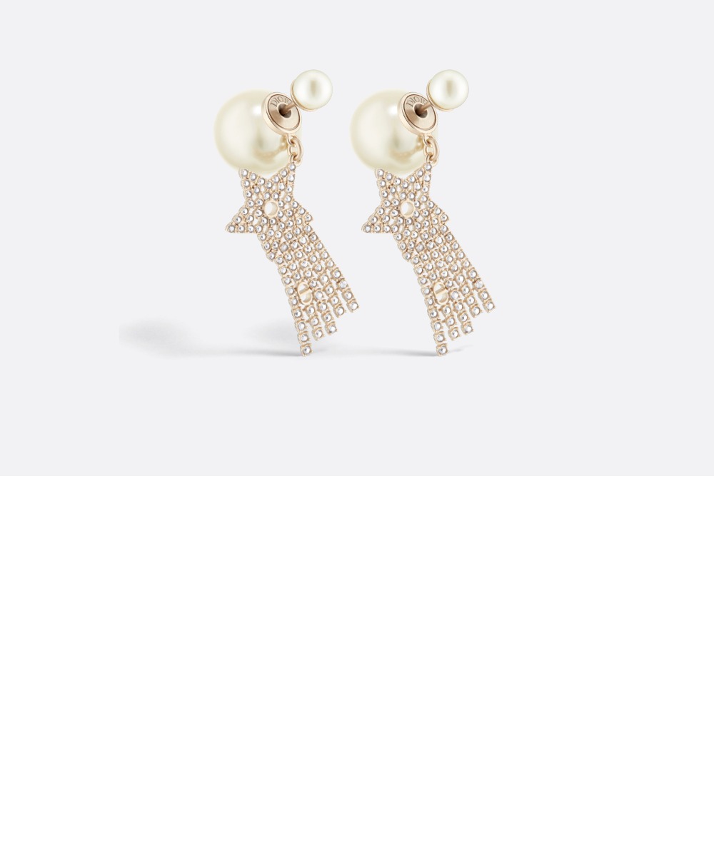 트라이벌 귀걸이  E3359 > 디올