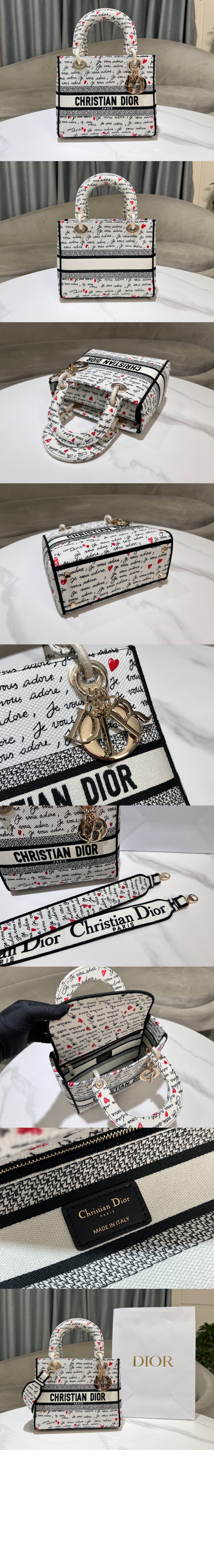 레이디백 디라이트 미듐 M0565 > Lady - 레이디