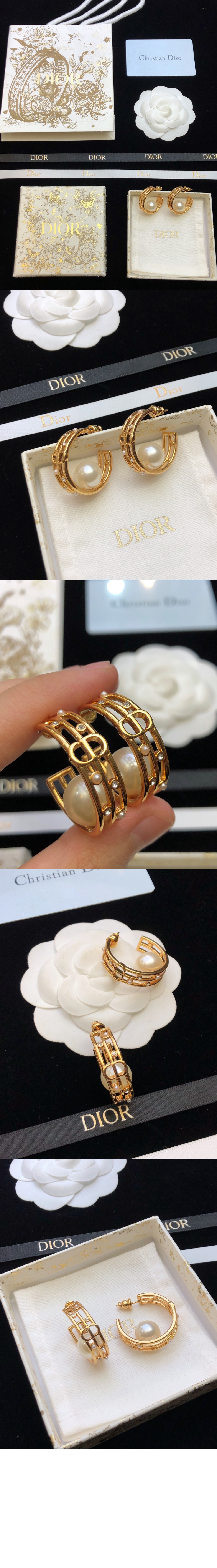 귀걸이 E3178 > 디올